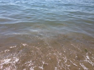 La scia marrone comparsa in acqua