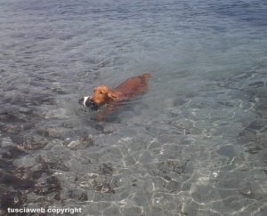 Maggie in vacanza in Sardegna