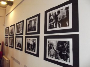 "Tra sogno e realtà", inaugurata la mostra fotografica su Villa Serena
