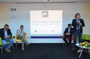 Coldiretti - Il convegno sull'olio