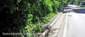 Marciapiede impraticabile in viale Fiume