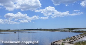 Le saline di Tarquinia