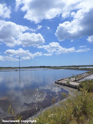 Le saline di Tarquinia
