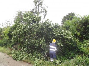L'Asvom in azione