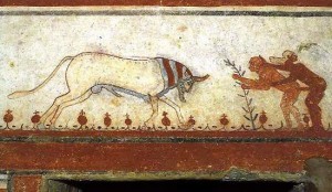 Tarquinia - La tomba dei tori