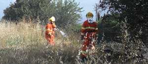 L'Asvom in azione