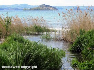 Lago di Bolsena - L'isola Martana