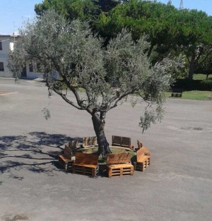 Le panchine 