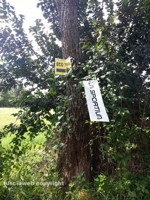 I cartelli e le cartacce abbandonate sul percorso dell'eco trail in strada Signorino