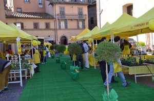 Coldiretti - Il mercato di Campagna amica