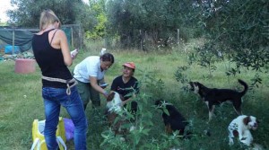 I volontari dell'associazione Voce del Cane