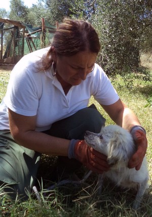 I volontari dell'associazione Voce del Cane