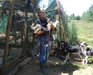 I volontari dell'associazione Voce del Cane