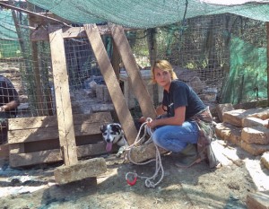 I volontari dell'associazione Voce del Cane