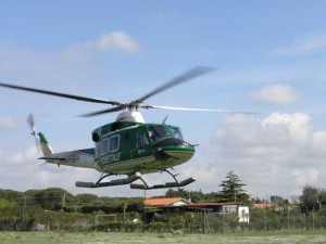 La forestale in azione