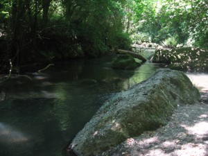 Il fiume Treja - Sentiero di Fontejano