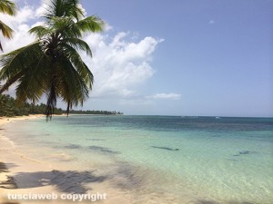 Las Terrenas e BayaHibe