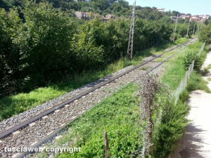 Le erbacce sulla Roma Nord