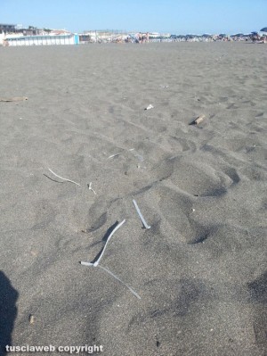 Pezzi di plastica sulla spiaggia di Montalto Marina