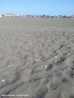 Pezzi di plastica sulla spiaggia di Montalto Marina