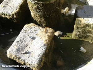 La fontana di piazza della Morte completamente vuota