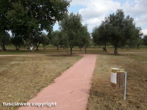 Viterbo - Il parco delle querce a Santa Barbara