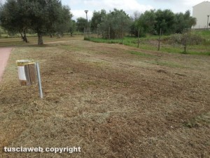 Viterbo - Il parco delle querce a Santa Barbara