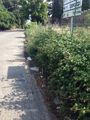 La Cassia Nord in entrata a Viterbo tra buche e erbacce