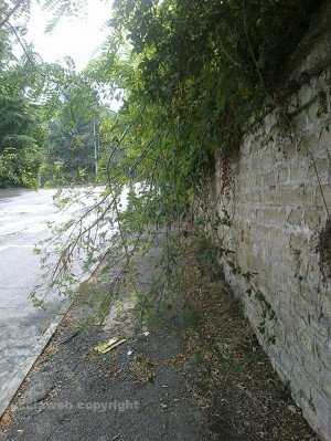 Il muro di cinta pieno di erbacce al quartiere Barco