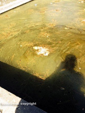 La fontana del Sacrario