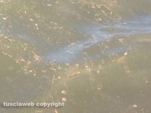Schiuma e liquami marroni nel mare a Marina Velka