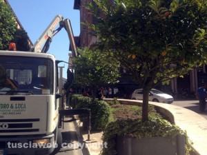 Operai al lavoro a via Marconi
