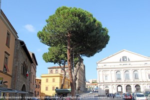 Viterbo - Piazza del Teatro