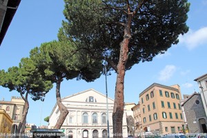 I pini a piazza del Teatro
