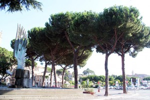 I pini al Sacrario