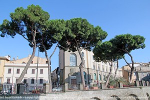 I pini a via Ascenzi