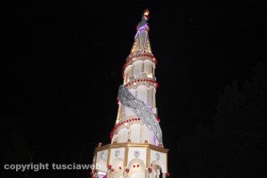 Il trasporto di Astro di rose 2014