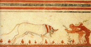 Tarquinia - Etruschi - La tomba dei tori