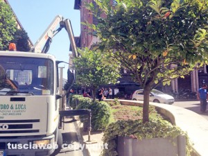 Santa Rosa - Operai al lavoro a via Marconi