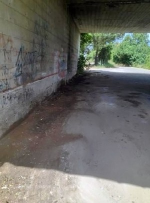 Strada Castiglione ripulita da Viterbo Ambiente