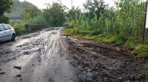 La strada invasa dal vango