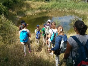 Campo estivo Wwf al Monte Rufeno