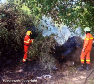 Principio di incendio sul lungolago di Montefiascone