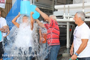 L'ice bucket challenge della De Alexandris 