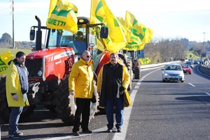 La Coldiretti in azione