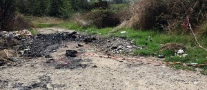 La zona bruciata a Tarquinia