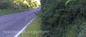 Viterbo - La vegetazione in strada Carcarelle