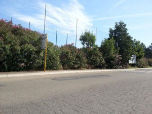 I marciapiedi in pessime condizioni