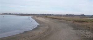 La spiaggia (generica)