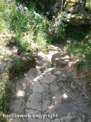 Etruschi - Viterbo - La necropoli di  Norchia nell'abbandono e inagibile
